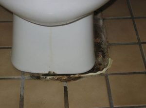 toilet-repair-and-replacement-michigan