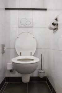 toilet-repair-and-replacement-michigan