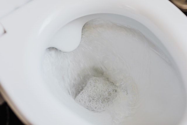 Flushing Toilet