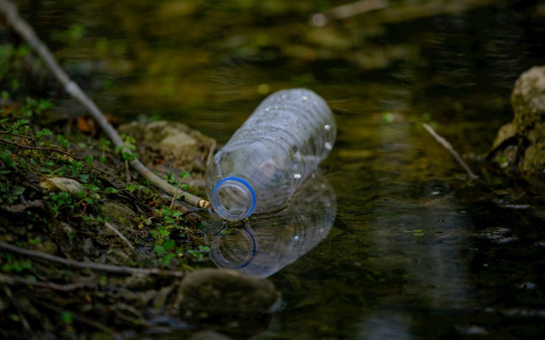 Heavy Metals and Beyond: How Hard Water Affects Your Home's Plumbing System